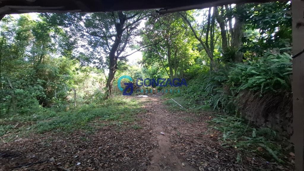 Imóvel 1005
